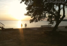 Photo of Аквапарк «Дельфин»: место, где мечты сбываются