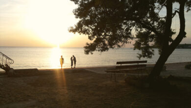 Photo of Аквапарк «Дельфин»: место, где мечты сбываются