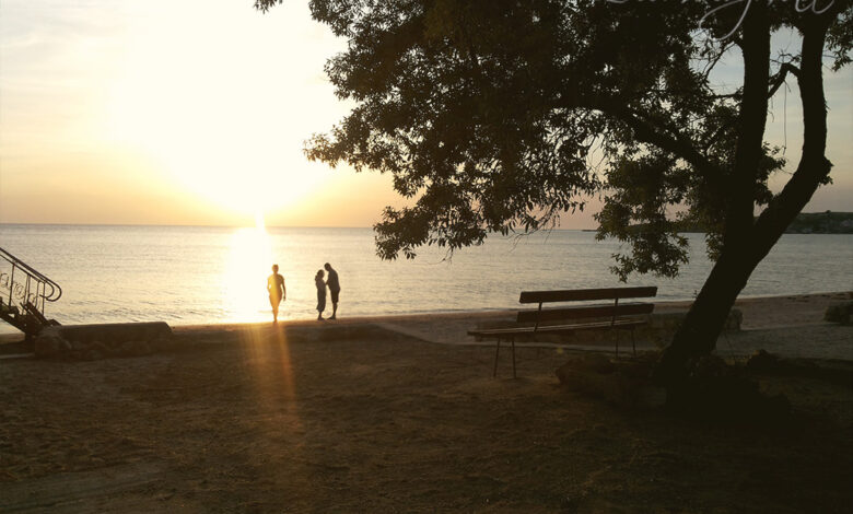 Photo of Аквапарк «Дельфин»: место, где мечты сбываются