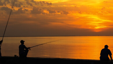 Photo of одные развлечения для любителей рыбалки