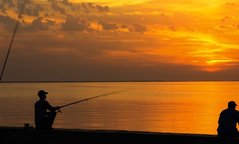 Photo of одные развлечения для любителей рыбалки