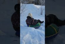 Photo of одные горки и водопады: идеальные развлечения для отдыхающих