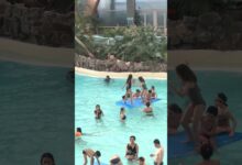 Photo of Какие виды водных развлечений пользуются наибольшей популярностью