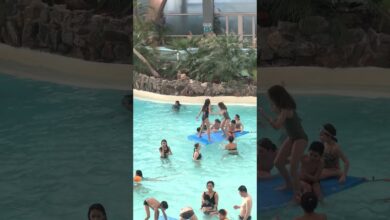 Photo of Какие виды водных развлечений пользуются наибольшей популярностью