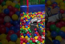 Photo of Как провести идеальные выходные с семьей