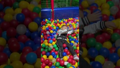 Photo of Как провести идеальные выходные с семьей