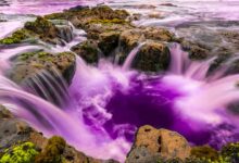 Photo of Лучшие аквапарки мира: топ-10 мест для отдыха