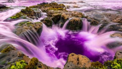 Photo of Лучшие аквапарки мира: топ-10 мест для отдыха