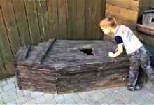 Photo of одные аттракционы: лучшие развлечения для друзей и семьи