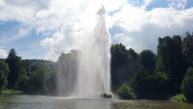 Photo of Захватывающие водные соревнования