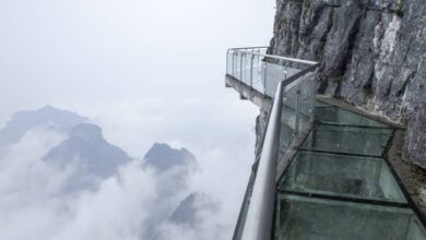 Photo of одные аттракционы для любителей адреналина