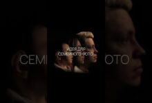 Photo of Идеи для семейного отдыха: от прогулок до пикников