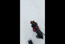 Photo of Семейный отдых: как сделать его запоминающимся