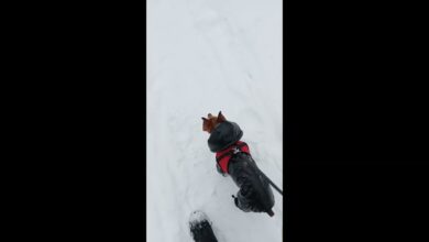 Photo of Семейный отдых: как сделать его запоминающимся