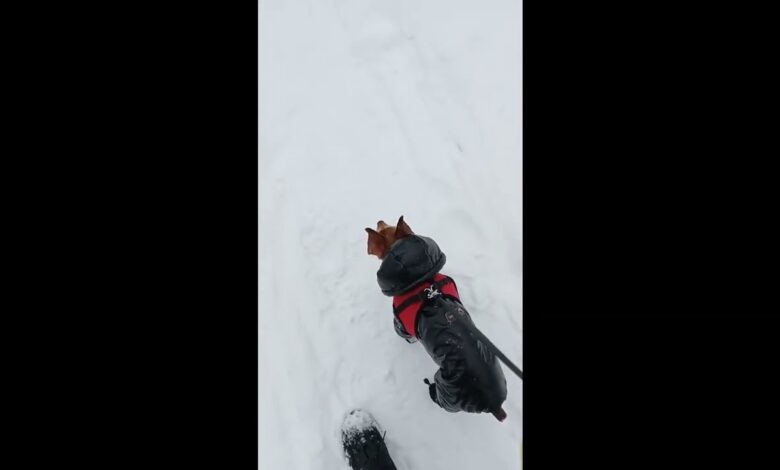 Photo of Семейный отдых: как сделать его запоминающимся