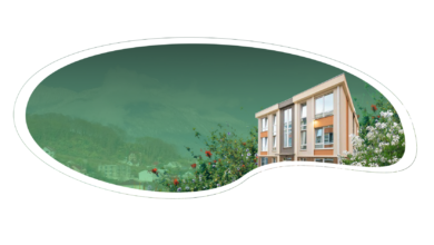 Photo of Популярные виды водных развлечений