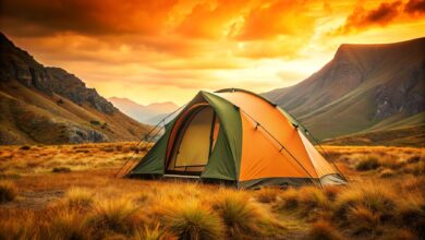 Photo of одные горки и качели: идеальное место для активного отдыха