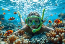 Photo of Лучшие места для дайвинга и сноркелинга